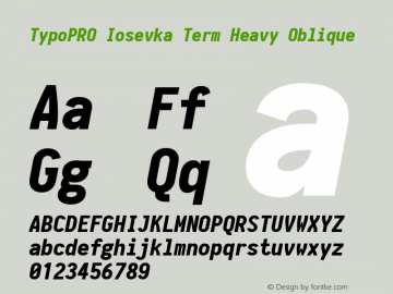 TypoPRO Iosevka Term Heavy Oblique 1.12.1; ttfautohint (v1.6) Font Sample
