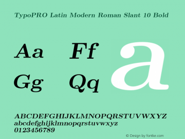 TypoPRO LM Roman Slanted 10 Version 2.004;PS 2.004;hotconv 1.0.49;makeotf.lib2.0.14853 Font Sample