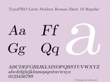 TypoPRO LM Roman Slanted 10 Version 2.004;PS 2.004;hotconv 1.0.49;makeotf.lib2.0.14853 Font Sample