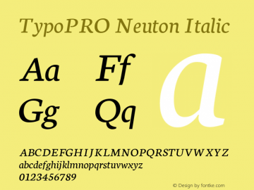 TypoPRO Neuton Italic Version 1.46图片样张
