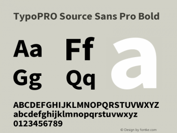 TypoPRO Source Sans Pro Bold Version 2.020;PS 2.000;hotconv 1.0.86;makeotf.lib2.5.63406图片样张