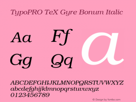 TypoPRO TeX Gyre Bonum Version 2.004;PS 2.004;hotconv 1.0.49;makeotf.lib2.0.14853图片样张