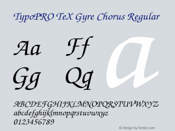 TypoPRO TeXGyreChorus-MediumItalic Version 2.003;PS 2.003;hotconv 1.0.49;makeotf.lib2.0.14853 Font Sample