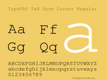 TypoPRO TeXGyreCursor-Regular Version 2.004;PS 2.004;hotconv 1.0.49;makeotf.lib2.0.14853 Font Sample
