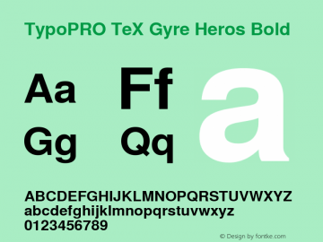 TypoPRO TeXGyreHeros-Bold Version 2.004;PS 2.004;hotconv 1.0.49;makeotf.lib2.0.14853图片样张