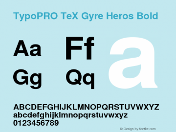 TypoPRO TeXGyreHeros-Bold Version 2.004;PS 2.004;hotconv 1.0.49;makeotf.lib2.0.14853图片样张