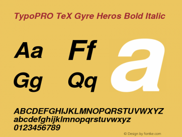 TypoPRO TeXGyreHeros-BoldItalic Version 2.004;PS 2.004;hotconv 1.0.49;makeotf.lib2.0.14853图片样张