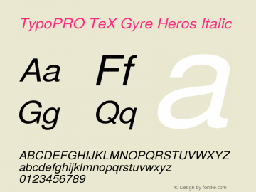 TypoPRO TeXGyreHeros-Italic Version 2.004;PS 2.004;hotconv 1.0.49;makeotf.lib2.0.14853图片样张