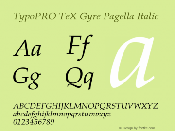 TypoPRO TeXGyrePagella-Italic Version 2.004;PS 2.004;hotconv 1.0.49;makeotf.lib2.0.14853图片样张