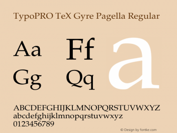 TypoPRO TeXGyrePagella-Regular Version 2.004;PS 2.004;hotconv 1.0.49;makeotf.lib2.0.14853 Font Sample