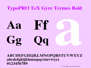 TypoPRO TeXGyreTermes-Bold Version 2.004;PS 2.004;hotconv 1.0.49;makeotf.lib2.0.14853 Font Sample