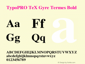 TypoPRO TeXGyreTermes-Bold Version 2.004;PS 2.004;hotconv 1.0.49;makeotf.lib2.0.14853 Font Sample