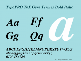 TypoPRO TeXGyreTermes-BoldItalic Version 2.004;PS 2.004;hotconv 1.0.49;makeotf.lib2.0.14853 Font Sample