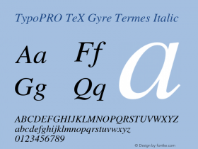 TypoPRO TeXGyreTermes-Italic Version 2.004;PS 2.004;hotconv 1.0.49;makeotf.lib2.0.14853 Font Sample