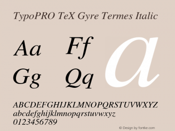 TypoPRO TeXGyreTermes-Italic Version 2.004;PS 2.004;hotconv 1.0.49;makeotf.lib2.0.14853 Font Sample