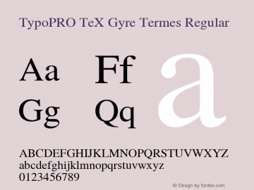 TypoPRO TeXGyreTermes-Regular Version 2.004;PS 2.004;hotconv 1.0.49;makeotf.lib2.0.14853 Font Sample