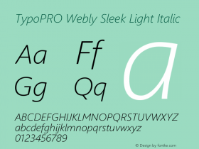 TypoPRO WeblySleek UI Light Italic Version 5.22 January 23, 2013图片样张