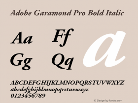 AGaramondPro-BoldItalic Version 2.058;PS 2.000;hotconv 1.0.57;makeotf.lib2.0.21895图片样张