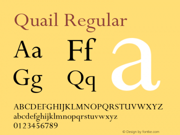 Quail 图片样张