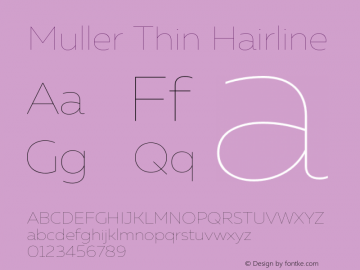 Muller-ThinHairline Version 1.0;com.myfonts.easy.font-fabric.muller.hairline.wfkit2.version.4nuc Font Sample