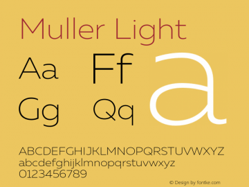 Muller-Light Version 1.0;com.myfonts.easy.font-fabric.muller.ultra-light.wfkit2.version.4nu3 Font Sample