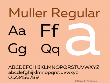 Muller-Regular Version 1.0;com.myfonts.easy.font-fabric.muller.regular.wfkit2.version.4nu4 Font Sample