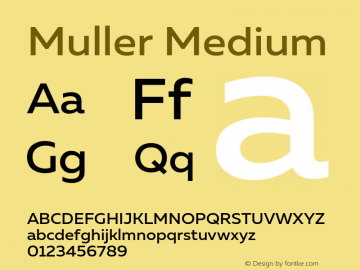 Muller-Medium Version 1.0;com.myfonts.easy.font-fabric.muller.medium.wfkit2.version.4nu6 Font Sample