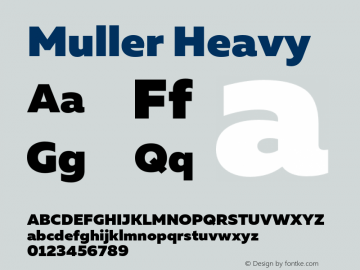 Muller-Heavy Version 1.0;com.myfonts.easy.font-fabric.muller.black.wfkit2.version.4nui Font Sample
