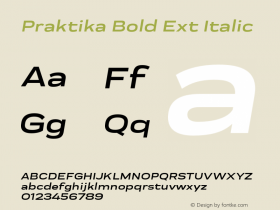 Praktika Bold Ext Italic Version 1.000;PS 001.000;hotconv 1.0.88;makeotf.lib2.5.64775 Font Sample