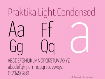 Praktika Light Condensed Version 1.000;PS 001.000;hotconv 1.0.88;makeotf.lib2.5.64775 Font Sample