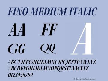 Fino Medium Italic Version 1.012;PS 001.012;hotconv 1.0.88;makeotf.lib2.5.64775 Font Sample