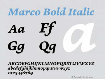 Marco Bold Italic Version 1.001;PS 001.001;hotconv 1.0.70;makeotf.lib2.5.58329 Font Sample