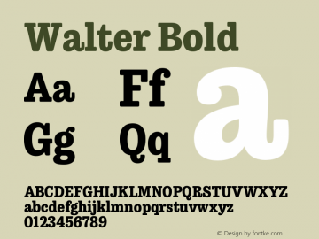 Walter Bold Version 1.001;PS 1.000;hotconv 16.6.51;makeotf.lib2.5.65220图片样张