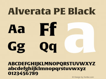 AlverataPEBlack Version 1.001图片样张