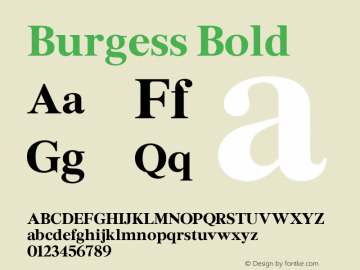 Burgess Bold Version 1.004; ttfautohint (v1.5)图片样张