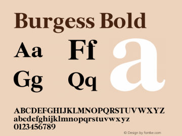 Burgess Bold Version 1.004; ttfautohint (v1.5)图片样张