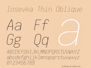 Iosevka Thin Oblique 1.13.3; ttfautohint (v1.6) Font Sample