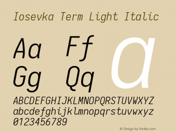 Iosevka Term Light Italic 1.13.3; ttfautohint (v1.6)图片样张