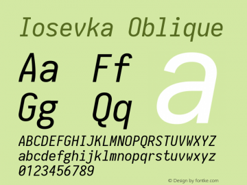 Iosevka Oblique 1.13.3; ttfautohint (v1.6) Font Sample