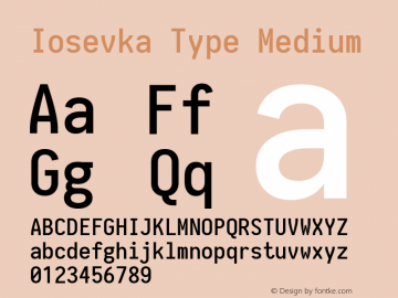 Iosevka Type Medium 1.13.3; ttfautohint (v1.6) Font Sample