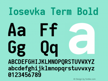 Iosevka Term Bold 1.13.3; ttfautohint (v1.6)图片样张