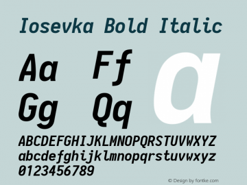 Iosevka Bold Italic 1.13.3; ttfautohint (v1.6) Font Sample