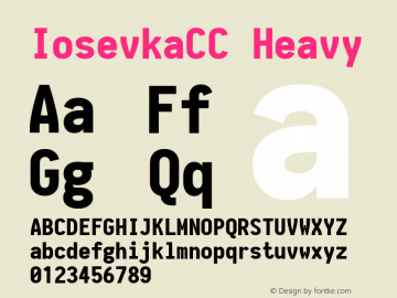 IosevkaCC Heavy 1.13.3; ttfautohint (v1.6) Font Sample
