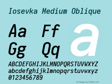 Iosevka Medium Oblique 1.13.3; ttfautohint (v1.6) Font Sample