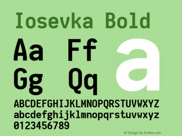 Iosevka Bold 1.13.3; ttfautohint (v1.6) Font Sample