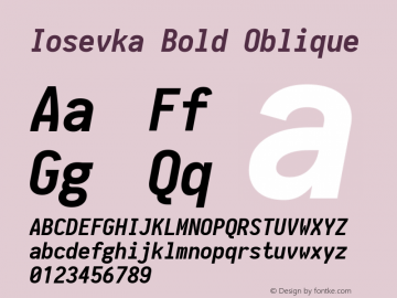 Iosevka Bold Oblique 1.13.3; ttfautohint (v1.6) Font Sample