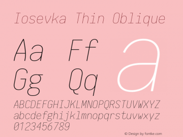 Iosevka Thin Oblique 1.13.3; ttfautohint (v1.6) Font Sample