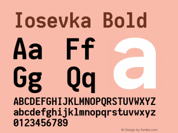 Iosevka Bold 1.13.3; ttfautohint (v1.6) Font Sample