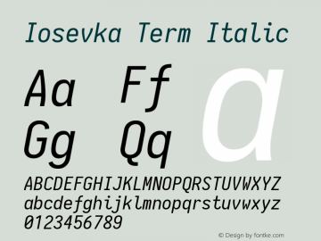 Iosevka Term Italic 1.13.3; ttfautohint (v1.6) Font Sample