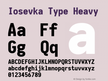 Iosevka Type Heavy 1.13.3; ttfautohint (v1.6) Font Sample